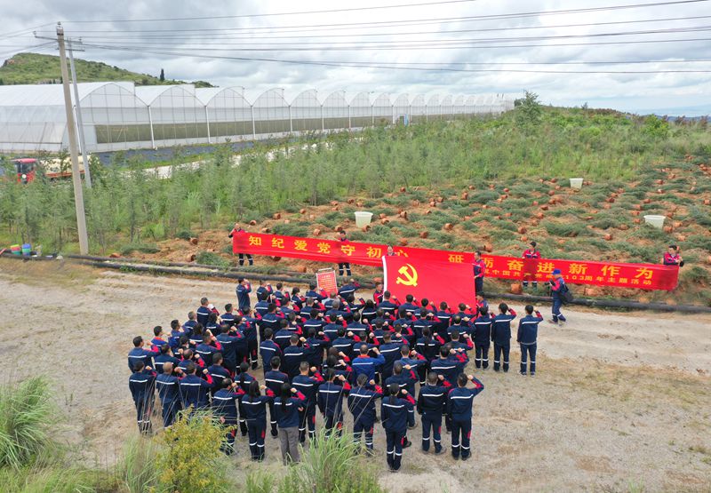 圖片標題